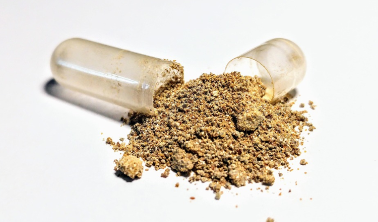 Capsula aperta con polvere di ashwagandha (Withania somnifera) su sfondo bianco