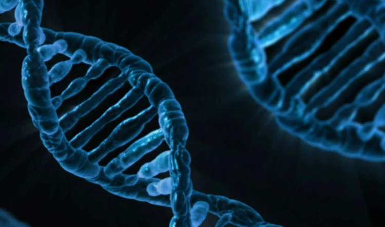 Nutraceutica. Filamenti di DNA umano in grafica digitale blu che rappresentano genetica, ricerca scientifica e biotecnologia.